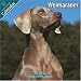 Weimaraner 2010 Wall Calendar #10077-10