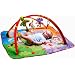 East Coast Nursery Tiny Love Gymini Move and Play