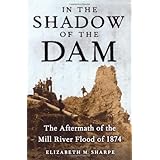 In the Shadow of the Dam: The Aftermath of the Mill River Flood of 1874