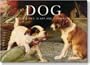 Dog: A Dog's Life in Art and Literature (Evergreen Series)