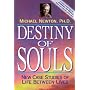 Destiny of Souls: New Case Studies of Life Between Lives