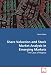 Share Valuation and Stock Market Analysis in  Emerging Markets: The Case of Nigeria
