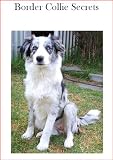 Border Collie Secrets: How to Raise Happy and Healthy Border Collies