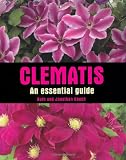 Clematis: An Essential Guide