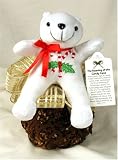 erin's sugarfree candy cane bear apple