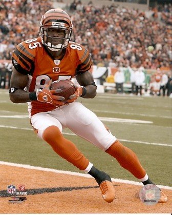 Chad Johnson Ochocinco Bengals Touchdown 8x10 Photo