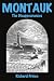 Books : Montauk: The Disappearances