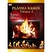 Plasma Kamin, Vol. 2 - 9 Kaminfeuer Impressionen in HD Qualit�t