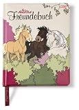 Nici 33147 - Freundebuch Pferd, beige