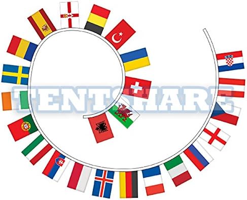 2016 Euro Cup Football Soccer String Flags 24 Teams 8x12 inch