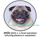 Pug Smile Adult T Shirt