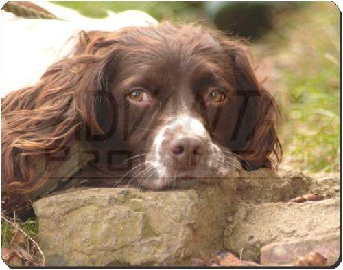 SPRINGER SPANIEL DOG Mouse Mat