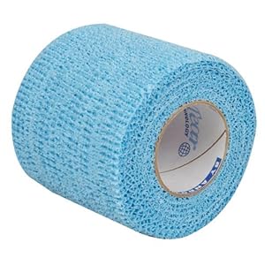 Pet Flex - 2 inch: Light Blue