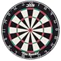 DMI Bandit Staple-free Bristle Dartboard