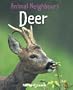 Animal Neighbours: Deer