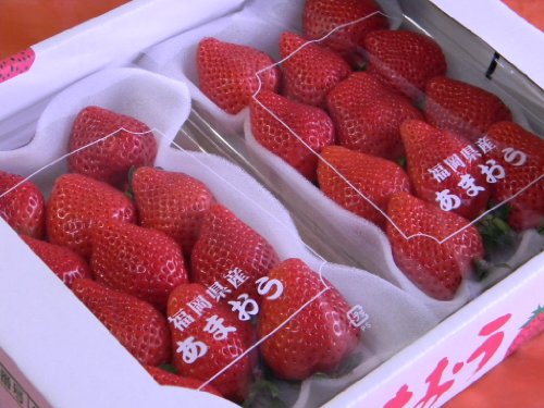 福岡産「あまおう」大粒２パック入