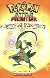 Pokemon: Battle Frontier #3: Grovyle Trouble
