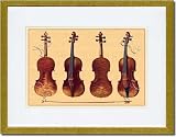 Gold Framed/Matted Print 17x23, Violins
