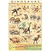 Posters: Dinosaures Poster - Esp�ces Et �volution (91 x 61 cm)