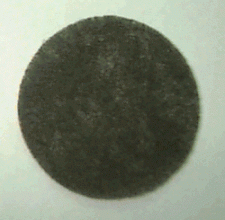 Eureka EUREKA 38333 MIGHTY MITE II MOTOR FILTER