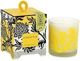 Michel Design Works Pineapple Soy Wax Candle, 40 hour Packages