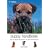 Collins Puppy Handbook