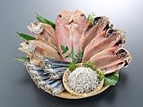 【送料無料】日本海・山陰の干物
