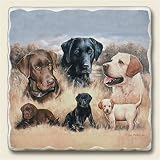 Coaster Set ~ Labrador Retrievers ~ 4 Tumbled Stone Coasters