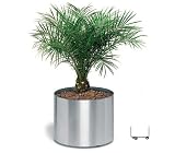 Blumentopf auf Rollen O 30 cm aus Edelstahl von Blomus - Modell Greens