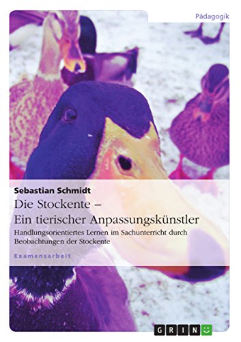 Die Stockente - ein tierischer Anpassungskünstler: Handlungsorientiertes Lernen im Sachunterricht durch Beobachtungen der Stockente (German Edition)