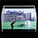 Tiger Woods 2005 British Open Curve Display with Autographed/Hand Signed Photo and Range Driven Ball