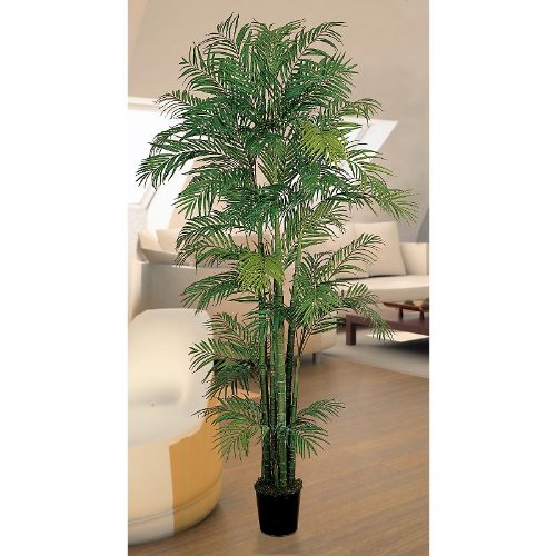 Areca Silk Palm Tree 7'