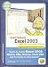 Bdg Publishing Learning Excel 2003