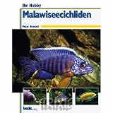 Eigenschaften Trixie  / 01735 Malawiseecichliden / P. Bredell