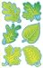 SPRING LEAVES/MINI VARIETY PACK CA MINI ACCENTS