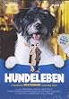 Hundeleben