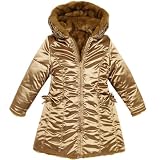 Apparel : fur-lined metallic coat