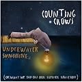 Underwater Sunshine