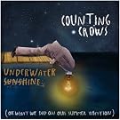 Underwater Sunshine (Or What We Did On Our Summer Vacation)