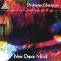 New Dawn Mind