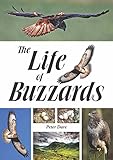 The life of buzzards