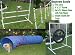 Pet Supplies : Dog Agility Equipment - Tire Jump, Weave Poles, Single Jump & Tunnel - Beginners Bundle / Package