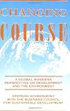 Changing Course: A Global Business Perspective on Development and the Environment