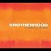 Brotherhood Brotherhood