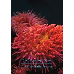 Water Puppets of Vietnam