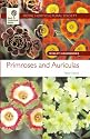 Primroses and Auriculas (Wisley Handbooks)