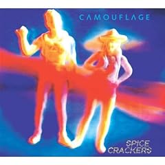 Spice Crackers