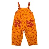 Boys Girls Reversible Twill Overalls Orange Lizards 18 Months