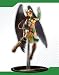Search : Ame Comi Hawkgirl PVC Figure