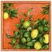 Citrons by Vincent Jeannerot. Size 11.66 inches width by 11.63 inches height. High Qu...